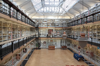 Barts Pathology Museum - things to do in london