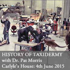 history of taxidermy at Carlyle's House